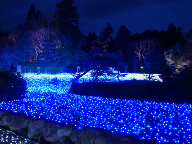 しあわせ回廊「なら瑠璃絵」は、奈良の風情にあったしつらえにする為に、高貴な色である瑠璃色をモチーフにしています。