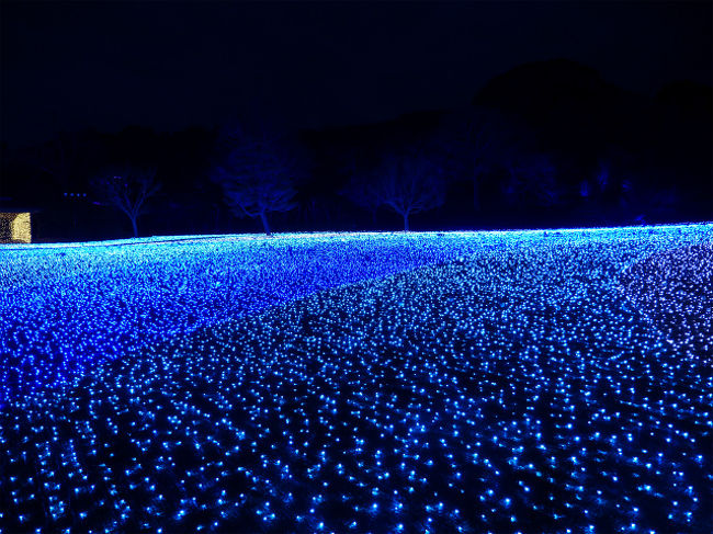 そして18時点灯開始です。点灯と同時にお客様から「わ〜！！綺麗〜！！」と歓声が上がりました。