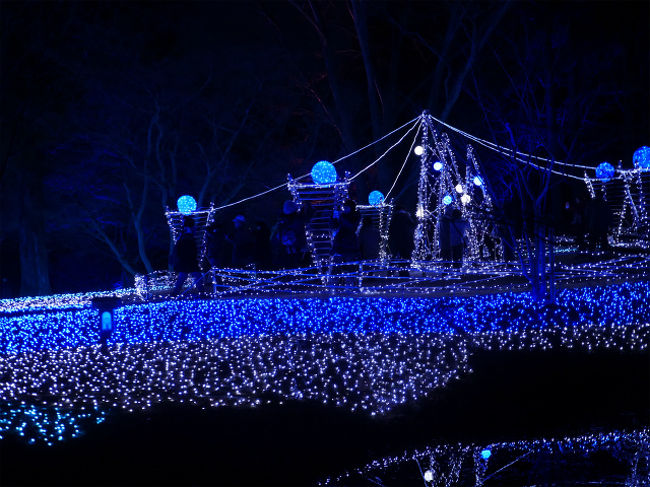 あの向こうにあるのはなんだろう？？それは「冬七ロード」。短冊（500円）を購入すると入場できます。