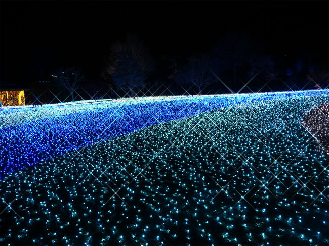 瑠璃色の星がどこまでも続いているみたい。。