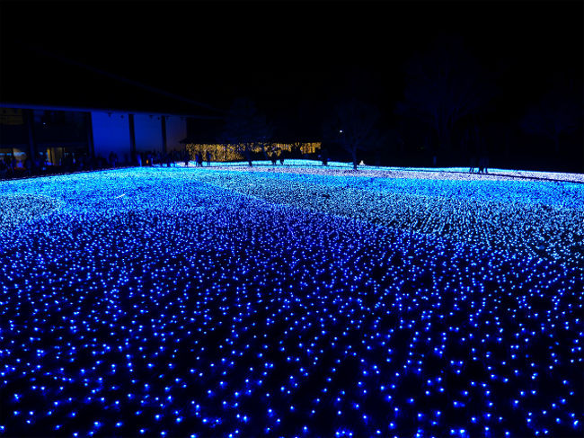 まさに冬の七夕の天の川のよう・・