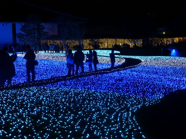 まるで冬の天の川を歩いているよう・・