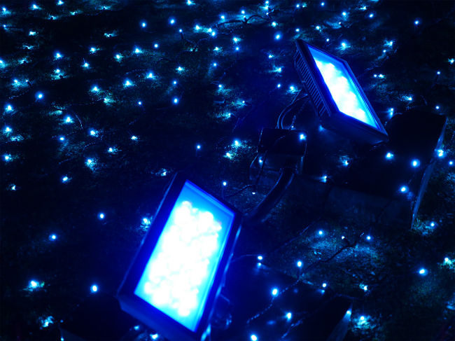 こうやって木々をライトアップしています。