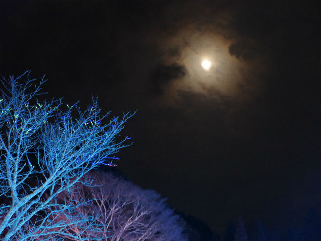 わ〜月がぼんやりと・・<br />明日は雪予報なんですようねぇ・・