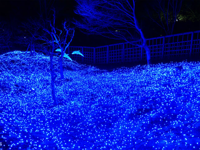 ここも綺麗です！海を表したようで、イルカも泳いでいます。