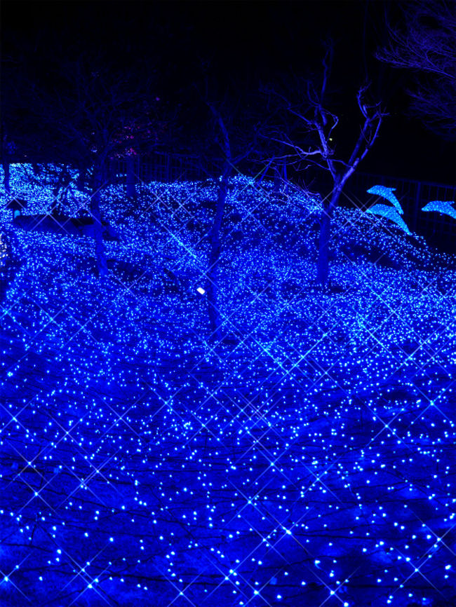 キラキラ効果で・・