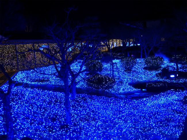 先ほどライトアップされていない写真と比べると全然違います！