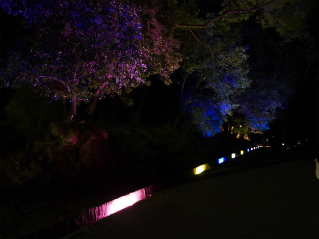 そして春日大社にも足を延ばしてみました。<br />実は昼間の春日大社も行ってことがないので全貌がわからず。。<br />入口は新公会堂の方から回り込んで行きます。<br />なんか暗い。。