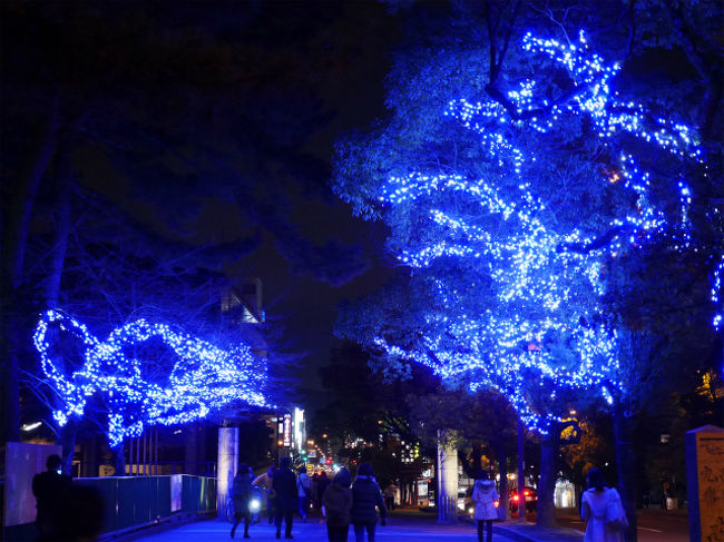 道端も少しですがライトアップ。