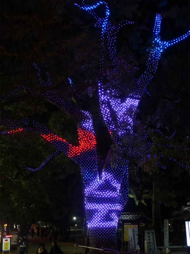 中央の大きな木にはたぶん日本で初めて、文字や絵を表現することができるもの。コンピュータ制御されています。