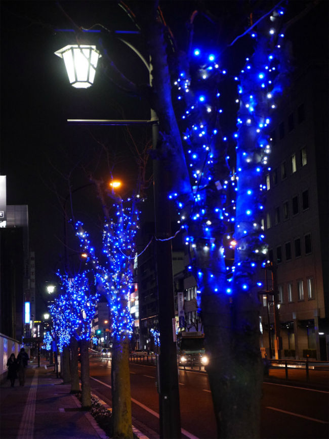 そして最後・・近鉄奈良駅から新大宮駅まで電車で移動します。<br />新大宮駅から奈良駅までの大宮通りのライトアップ。<br /><br />ここでお仕事おわ〜り！！