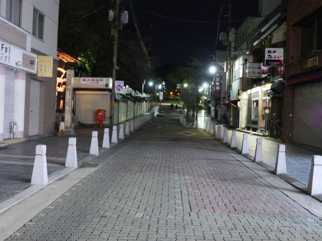 お店を出た時には三条通りにはすっかり人気がなくなっていました。<br /><br />この翌日朝起きてびっくり！！奈良は雪国と化していました。<br />朝から大阪で仕事だったので、早めにでましたが駅までの路はすでに１０cmは積もっていて、大変でした。そんな中チェックアウトをしようとフロントに寄ったら<br />偶然にもコクリコさんご夫妻と遭遇！！これから猿沢池まで行くそうです。。<br />気を付けてくださいねぇ〜とお話ししてお別れしました。<br />残念ながら１４日が最終日の「なら瑠璃絵」は大雪により中止となったそうです。<br />でも冬の奈良の風物詩を見にまた今度はゆっくり訪れたいと思います。