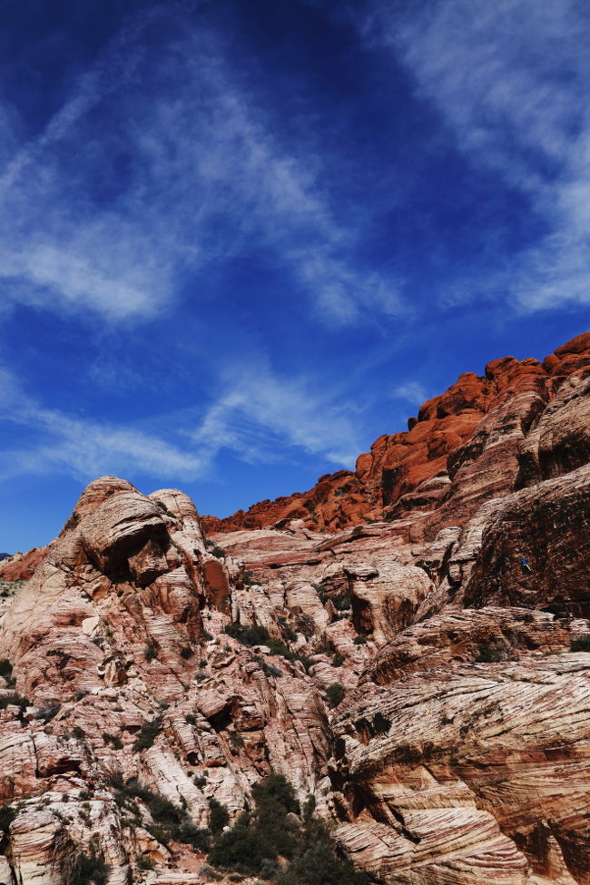 今回は初めて近くのレッドロックキャニオンと言うところへ足をのばして行ってきました。クライミングやハイキングにはもってこいの規模だと思います。<br />こんなところがラスベガスから２０分くらいのところにあったなんて今まで知りませんでした。