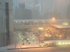 そして、３日目の朝カーテンを開けると雪景色！！