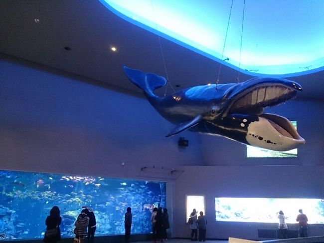 まずは飛んでる魚〜(о´∀`о)