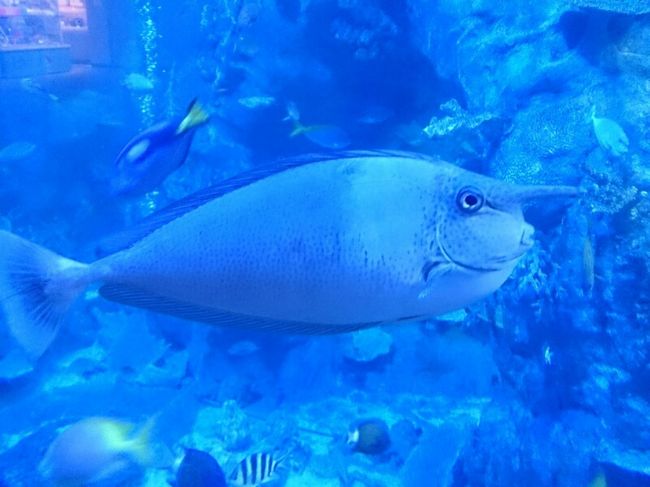 おしゃんてぃな鼻。←鼻か(*_*)??