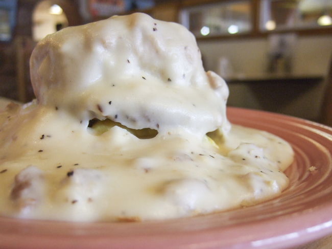 ビスケットにかかったクリームソースです。結構美味しかったですよ。<br />サンダーバードと言うザイオンからペイジに向かう途中のレストランで食べました。おすすめです。