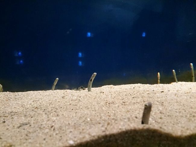 これは噂の。。。11月11日の方たち。