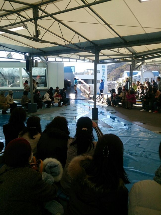 私が鳥羽水族館で一番見たかったショー。<br />セイウチショー!!!<br /><br />奥からセイウチくんたちがやって来ました〜。