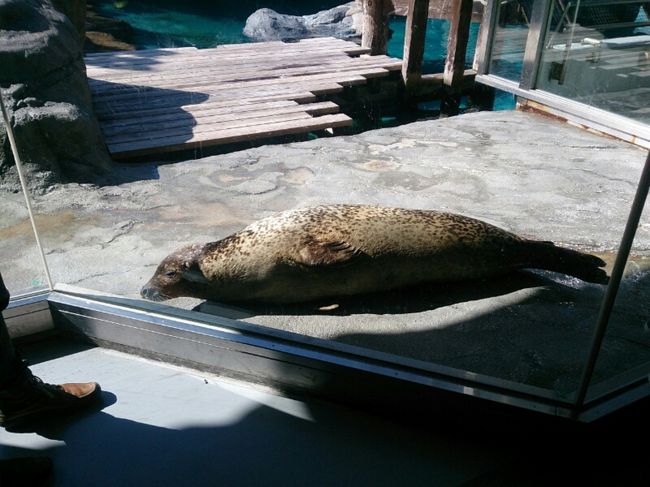 日向ぼっこ〜。