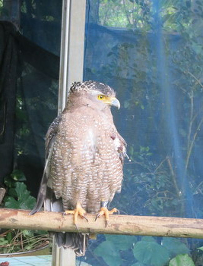 よんなーくん、カメラにも慣れてるようで・・・動じず。