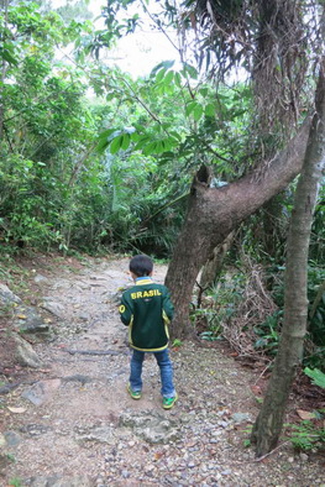 散歩しながら、名蔵アンパルの一部、マングローブの遊歩道までぐるっと行けるようになっていて、距離もちょうどよく、気持ちよかった。