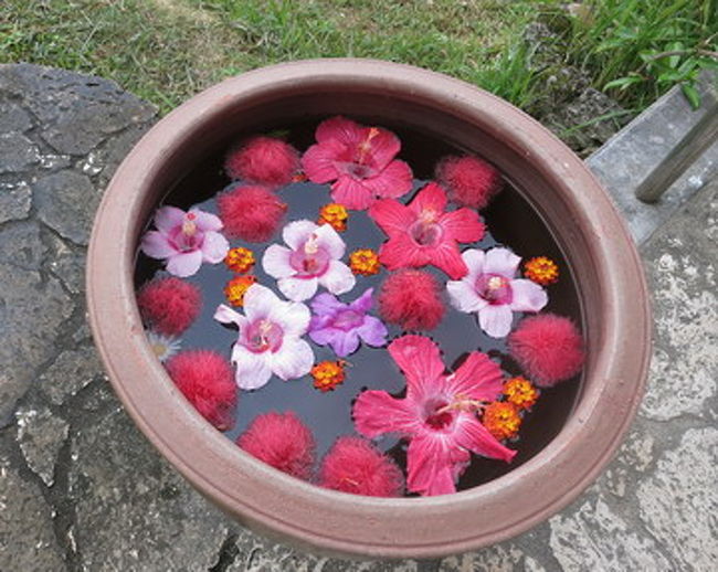 沖縄のいろんなお店でこういうの見ますが、やっぱりいいですね、花はなごみます。