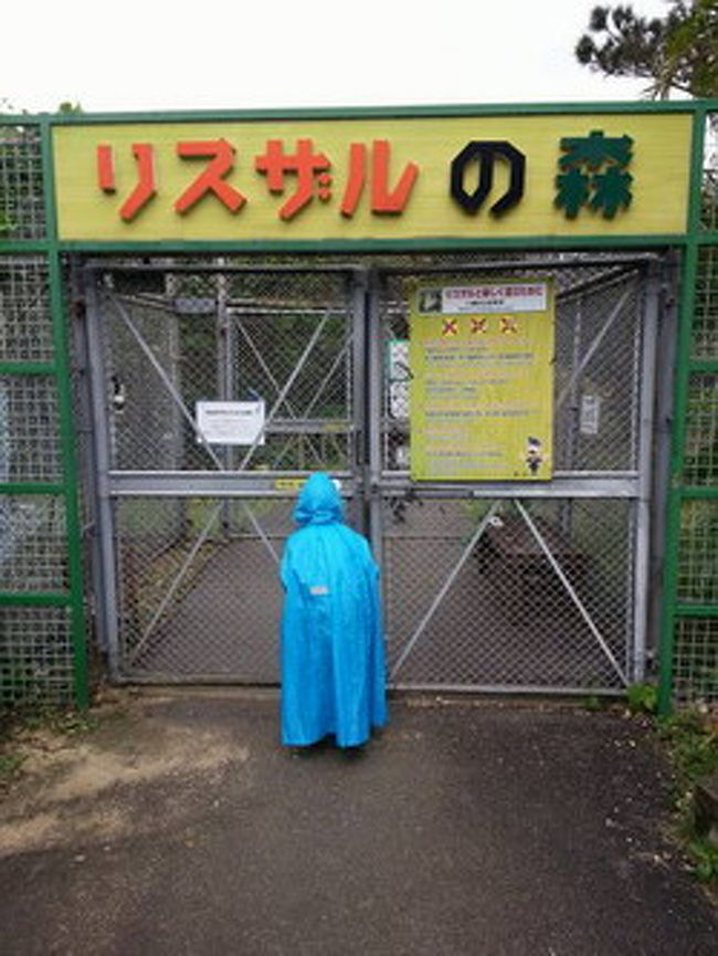 そして、子供達が楽しみにしていた、リスザルの森へ。