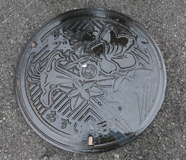 街で雨がふったりやんだりの中、傘さしながらちょっとぶらぶらもしました。<br /><br />ご当地マンホール。<br />テッポウユリと、キョウチクトウと、ハイビスカスかな？