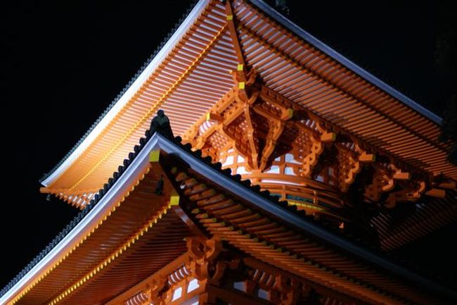 見えてきました壇上伽藍。ライトアップされた『根本大塔』が大迫力。