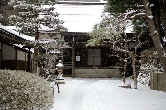 夜から降り始めた雪のため、すっかり雪景色の高野山。雪が降ると寒さが少し軽減されるような気がするのは.....気のせいか？？