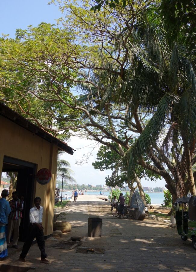 漁港を抜けていくと・・・