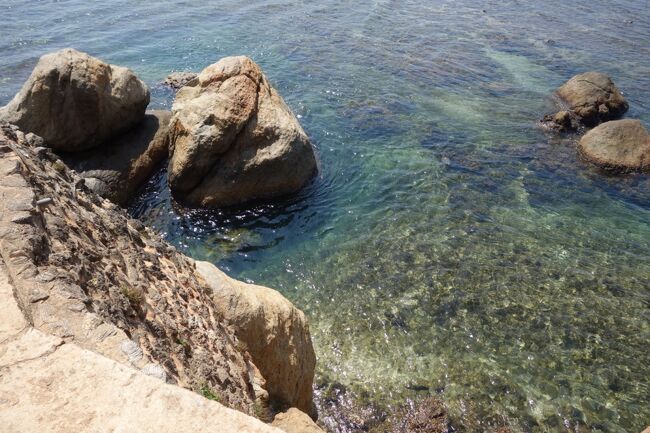 海は意外とクリアで綺麗だね。<br />