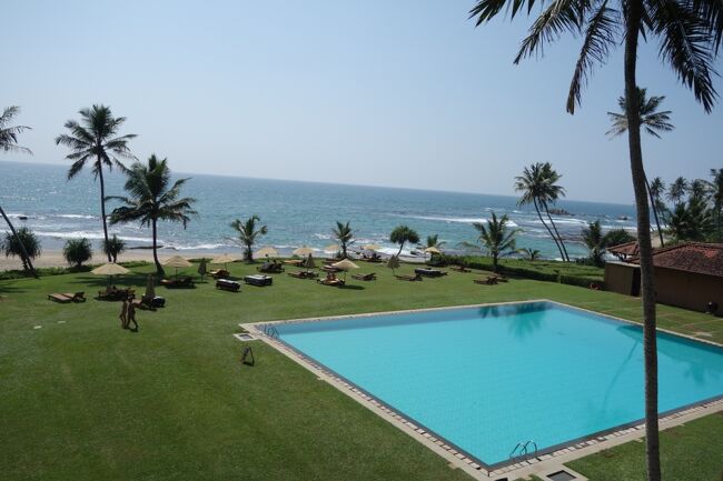 とよ夫は我慢できず、水着に着替えて海&amp;プールへGO！！