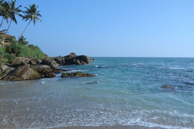 ここはそんなに波も荒くなく穏やかだね。