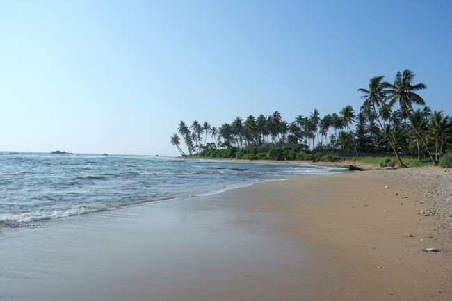 ところで、とよ夫はどこにいるのかな？<br />ビーチに行ってみた。