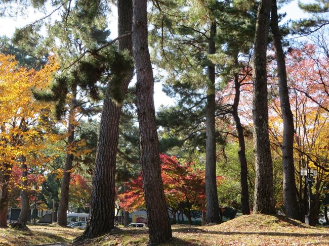 近鉄奈良駅前の、リムジンバスのバス停で、夏への扉さん（以下夏さん）と初めてお会いできました♪<br /><br />お写真よりもっと、上品で可愛らしい方でした(*^_^*)<br />バスを降りて来られたのを見つけて「なつさ〜ん！！！」と叫んだら、ニコっと手を振って下さいました♪<br />そして、ハグ〜！