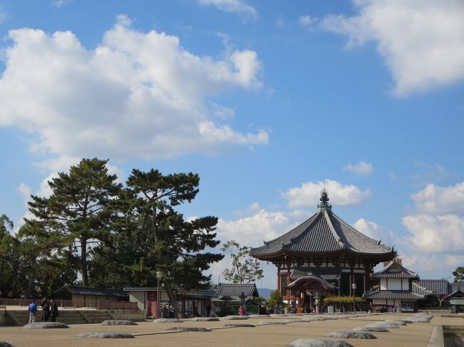 興福寺の前振り返ると、南円堂が！