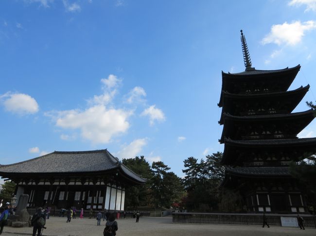 東金堂と五重塔