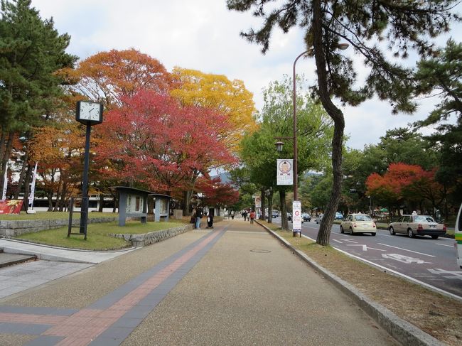 文化会館前は、紅葉が綺麗！