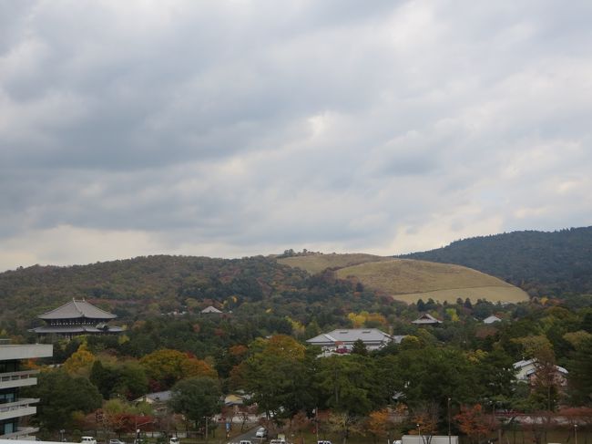 若草山、東大寺方面をのぞむ