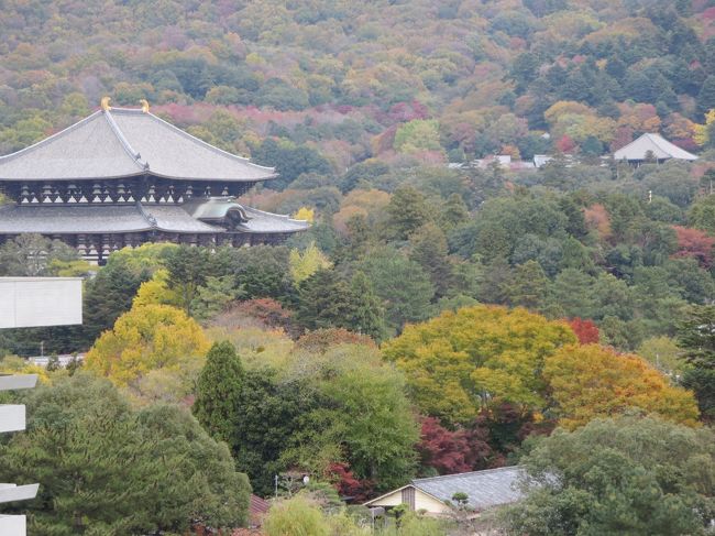 ちょっとズーム！