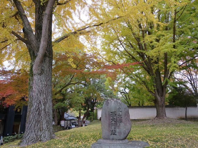 このイチョウの木の所、西大門址だったんだ・・・<br /><br />今まで、前を車でしょっちゅう通ってましたが、初めて知りました(^o^)／