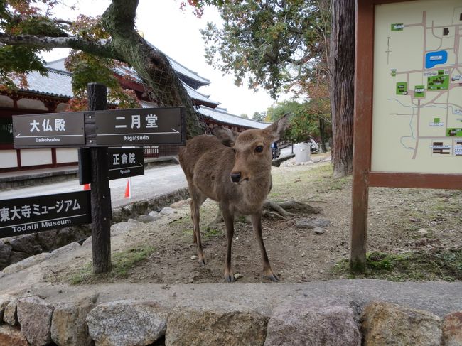 さあ、二月堂の方へ向かいましょう！