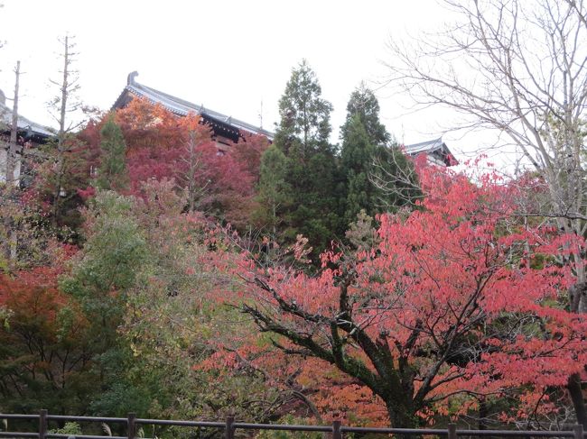 あ、見えてきました♪