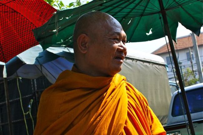 結構目にするビルマの竪琴な人。