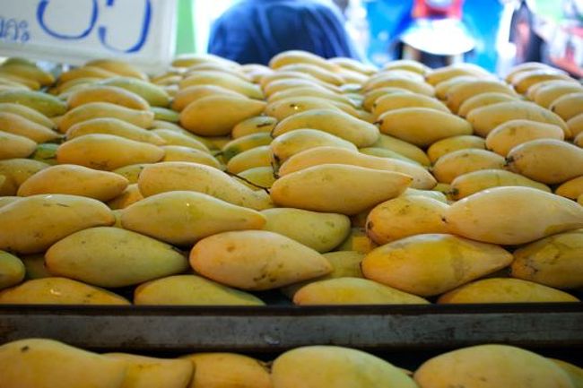 マンゴーがすごく美味しかった！<br /><br />.....このあとの飲茶のお昼ご飯の後、夕飯までずっと免税店やら、健康用品店やらに連れ回されて、激安ツアーにおいては切っても切り離せない苦痛の時間を過ごす。