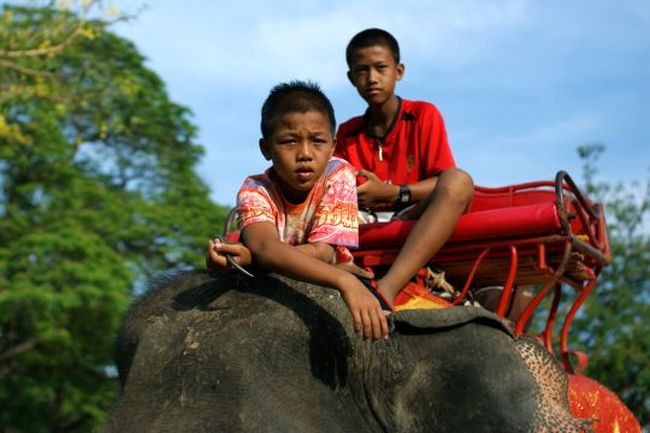 未来の象使いたちが練習中。このあと象が逃げ出しというハプニングを目撃。こわい。