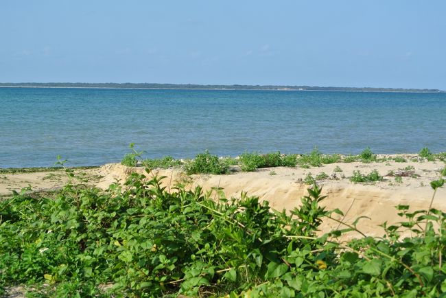 ではいつもの食後のお散歩へ。<br /><br />ホテル前のビーチ。<br /><br />汚くはないけれど<br />お手入れはあんまりされていないのかな。<br />