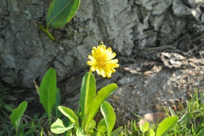 そろそろお散歩を終わりにして<br />身支度＆チェックアウトしましょうか・・・<br /><br />本当はチェックアウトは１１時なので<br />もっとゆっくりできるのですが<br />今日はあそこにも行きたいので・・・<br />